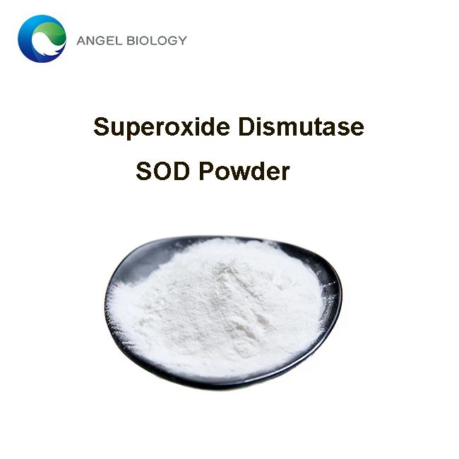 Superoxide Dismutase Powder